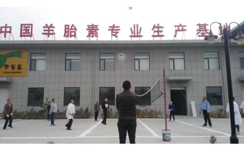 排球傳溫情，員工齊聚心