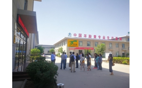 江南大學(xué)、寧夏大學(xué)課題組專家蒞臨伊百盛調(diào)研交流