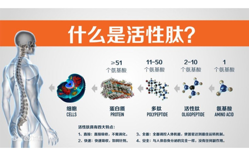 肽，對身體的十大益處